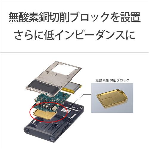 ソニー NW-WM1AM2 ハイレゾ音源対応ウォークマン WM1シリーズ Signature Series 128GB ブラック_8
