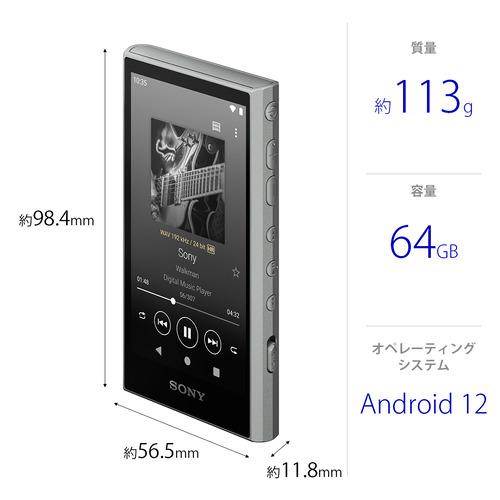 ソニー NW-A307 H ウォークマン ハイレゾ音源対応 WALKMAN A300