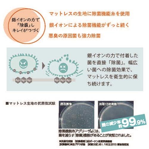 フランスベッド クイーン マットレスLT-5500Y PWMON きれいがつづく 除菌マットレス ミディアムソフト 日本製