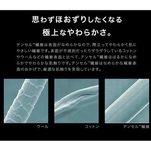 CREST 1400TM03 ベッドパッド！！テンセル繊維混生地使用 (除湿効果・消臭効果・抗菌効果わた)裏面すべり止め加工 セミダブルサイズ オフホワイトの画像