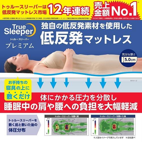 期間限定大特価】【在庫限り】【大処分SALE特価！】ショップジャパン