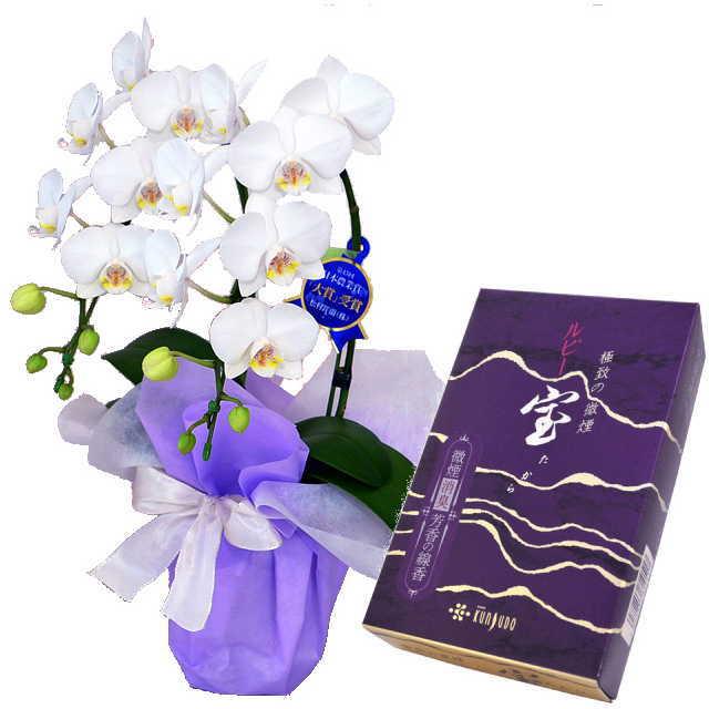 激安ブランド 胡蝶蘭 お供え 花 線香セット 2本立 ミディ 白色 薫寿堂 ルビー宝 大バラ ギフト 即発送可能 Www Maxipiso Com Ar