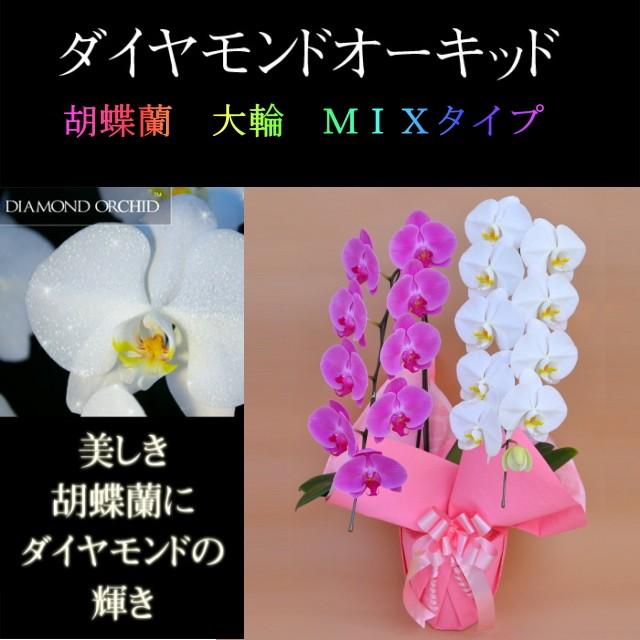 MXIFBKLNLPC