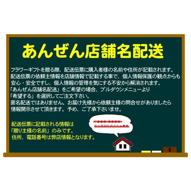 胡蝶蘭 お祝い サンクスポット ゴールデンライフ 2本立ち Thanks Pot 黄色 お祝い 移転祝い 開店祝い 就任祝い 写真送信 立札 育て方パンフレット付 森田洋蘭園の画像