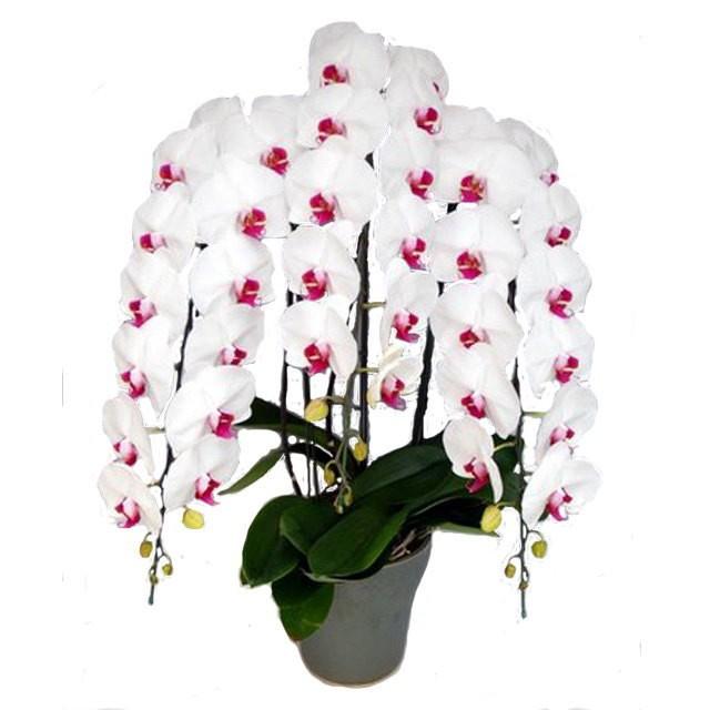 1本90円！！】アリミノ、ホーユーのカラー剤セット 185本