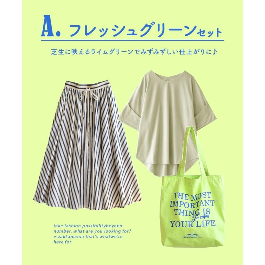 コーディネートセット 夏 レディース 福袋 トップス Tシャツ カットソー スカート トート お出かけを楽しくする ストライプ カラーコーデセット 返品交換不可 イーザッカマニアストアーズ 通販 Yahoo ショッピング
