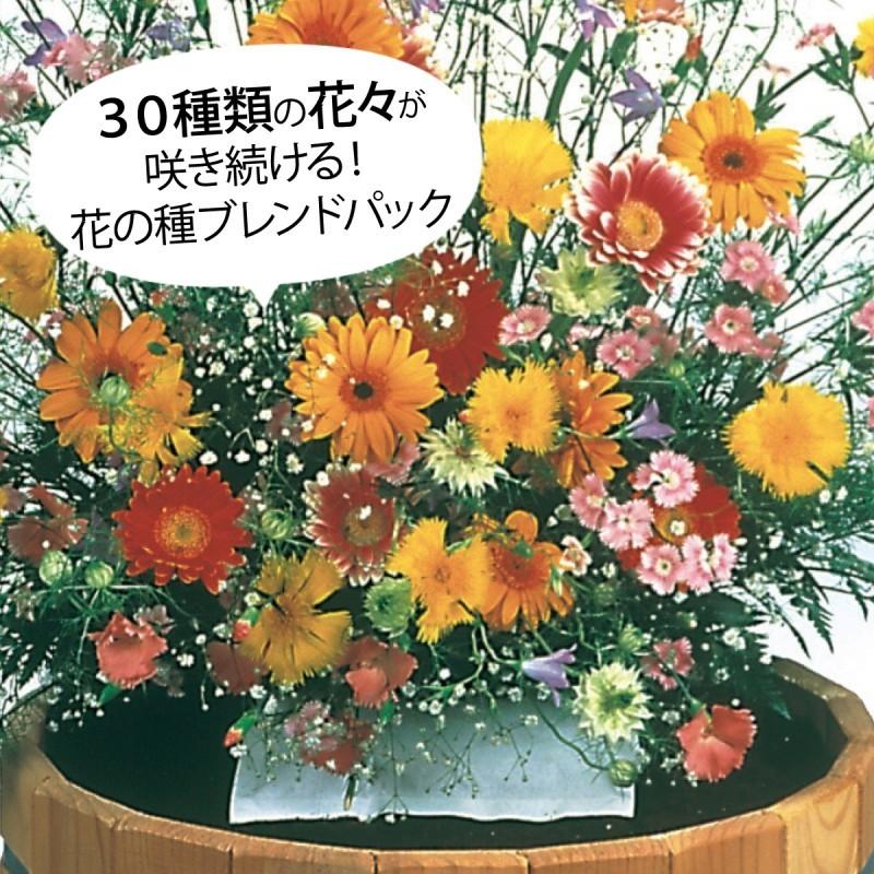 ガーデニング プランター 寄せ植え 花の種 花 種 セット 初心者 簡単 コスモス デージー 撫子 かすみ草 キキョウ マリーゴールド フラワリーランド1ｐ ココチのくらし雑貨店 通販 Yahoo ショッピング
