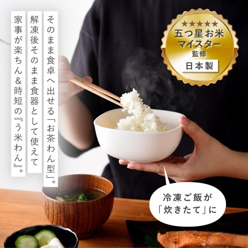 アーネスト（Arnest） 冷凍ご飯容器 冷凍ごはん容器 一膳用 単品 4個 6