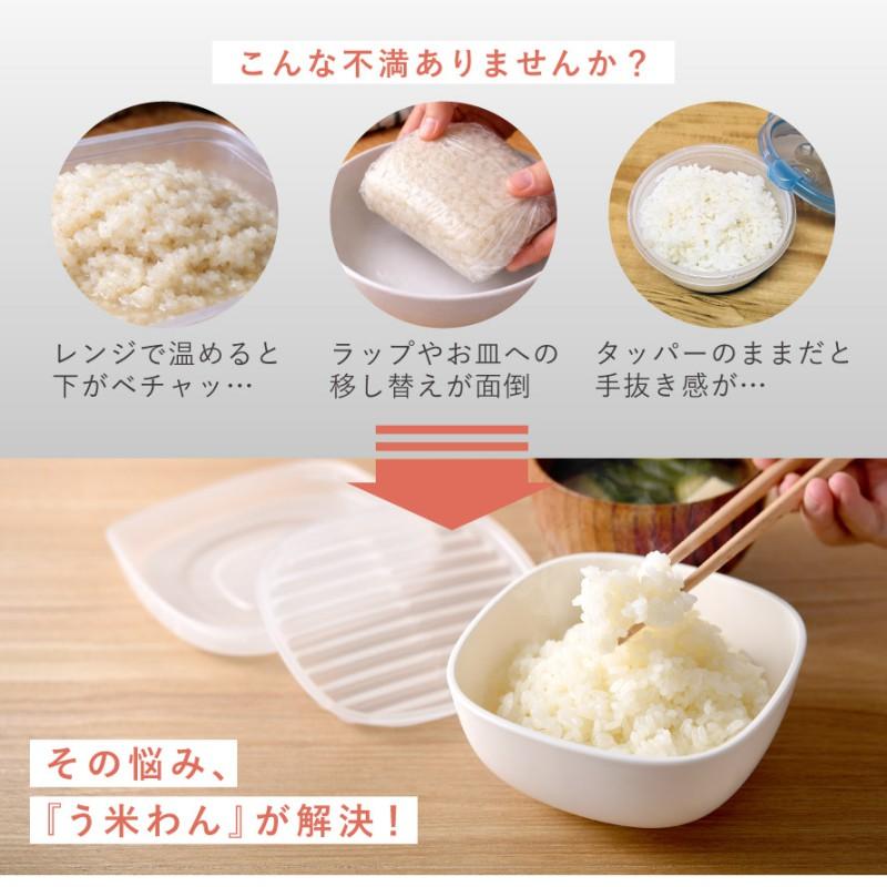 アーネスト（Arnest） 冷凍ご飯容器 冷凍ごはん容器 一膳用 単品 4個 6