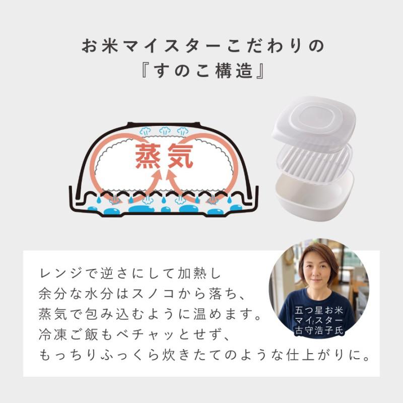 アーネスト（Arnest） 冷凍ご飯容器 冷凍ごはん容器 一膳用 単品 4個 6