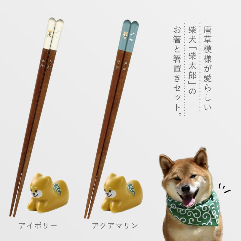 田中箸店 箸 名入れ 箸置きセット おしゃれ 食洗機対応 22.5cm グッズ 