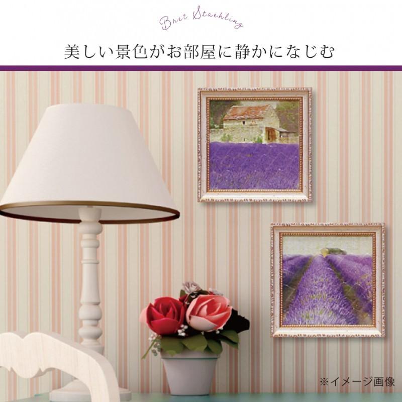 内祝い アートポスター 額入り Calla カラ 北欧 モダン インテリア 壁掛け 絵 アート おしゃれ 花 植物 自然 写真 アートパネル Supplystudies Com