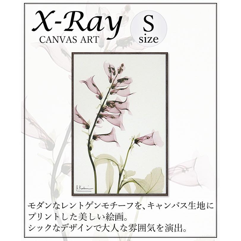 x-ray アートフレーム キャンバスアート 花 アートパネル モダン 玄関