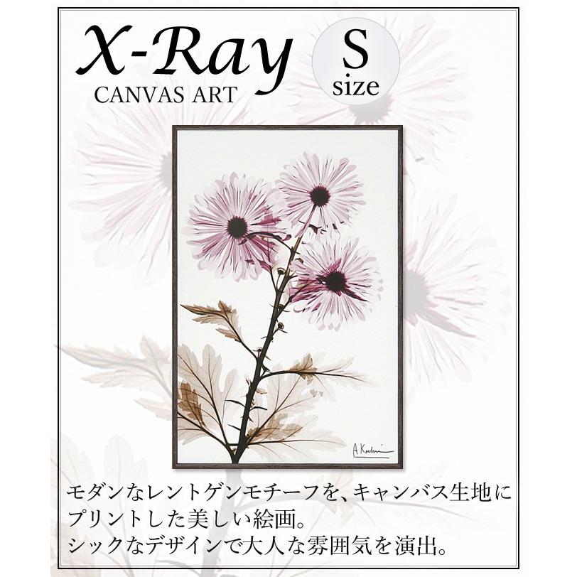 x-ray アートフレーム キャンバスアート 花 アートパネル モダン 玄関