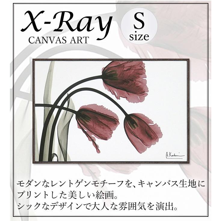 x-ray アートフレーム キャンバスアート 花 アートパネル モダン 玄関