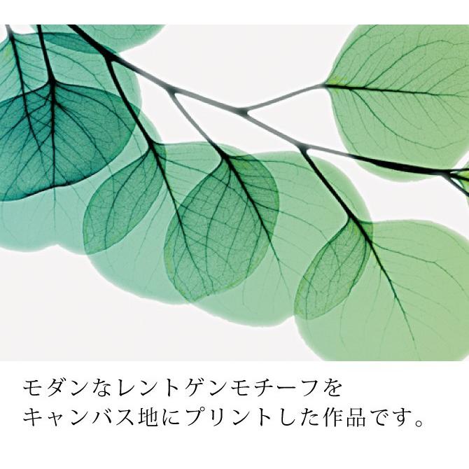 x-ray アートフレーム キャンバスアート 植物 自然 アートパネル x-ray アートフレーム キャンバスアート 植物 自然 アートパネル