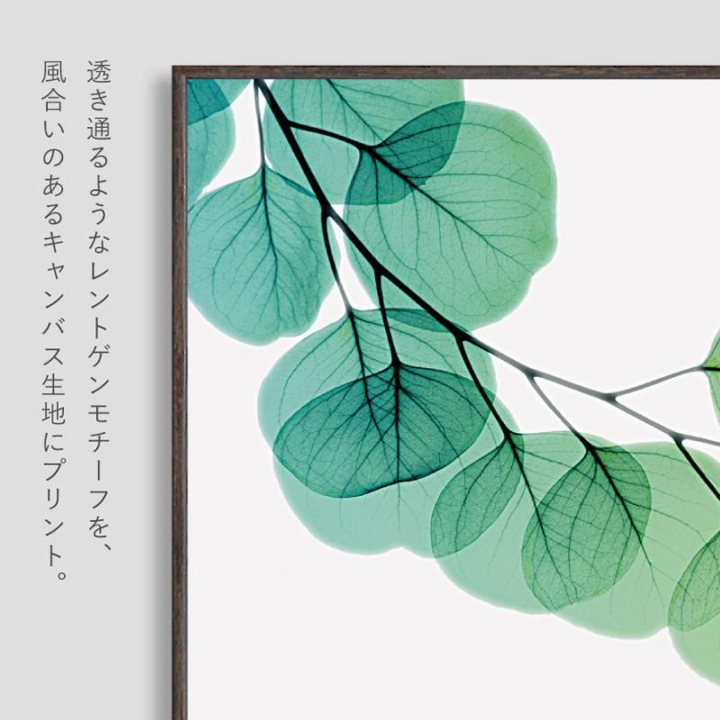 ボタニカル アートパネル 葉 植物 アート モダン 玄関 おしゃれ 絵