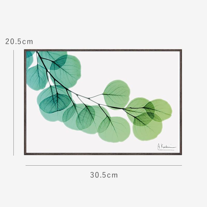 ボタニカル アートパネル 葉 植物 アート モダン 玄関 おしゃれ 絵