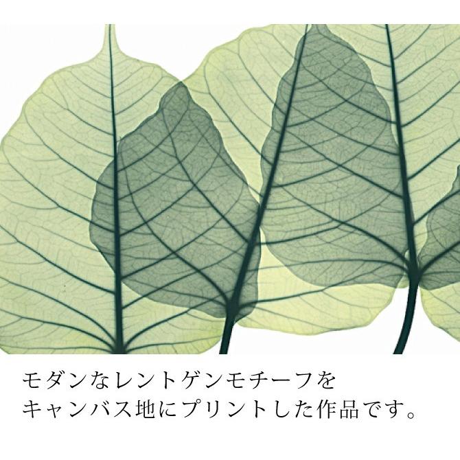 x-ray アートフレーム キャンバスアート 植物 自然 アートパネル
