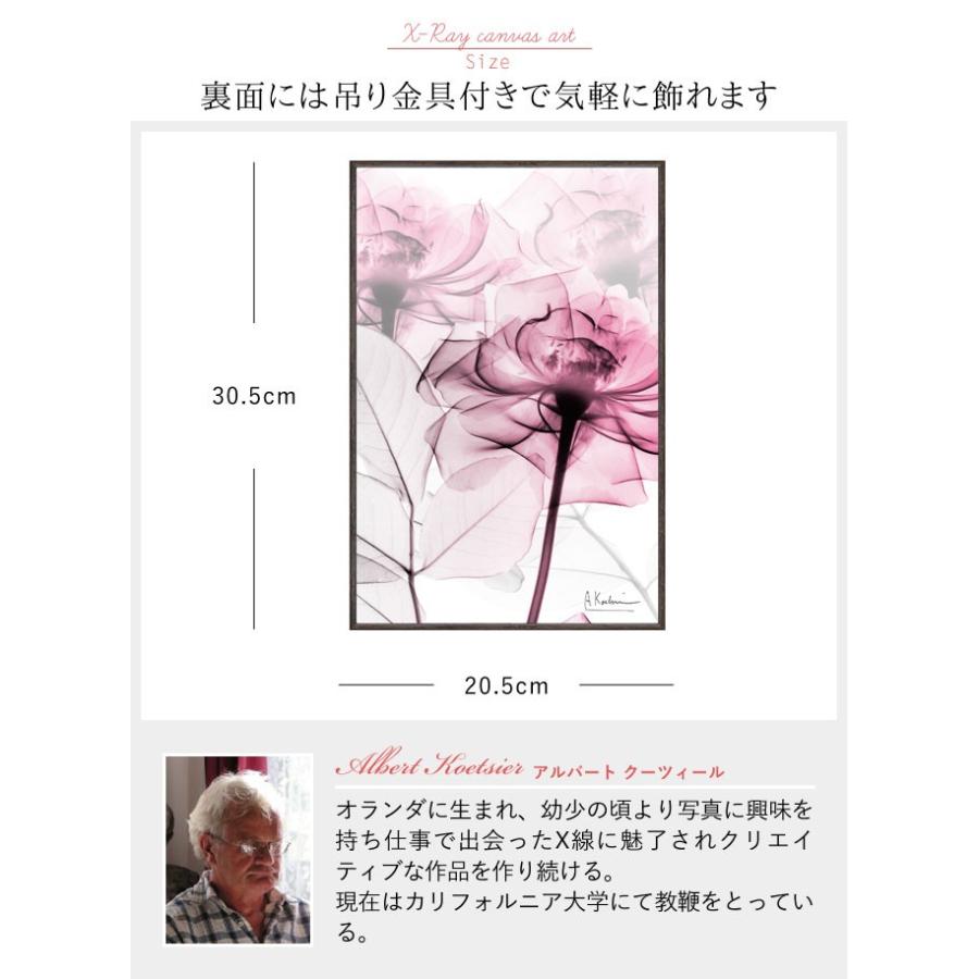 x-ray アートフレーム キャンバスアート 花 アートパネル モダン 玄関