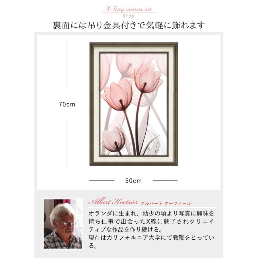 x-ray アートフレーム キャンバスアート 花 アートパネル モダン 玄関