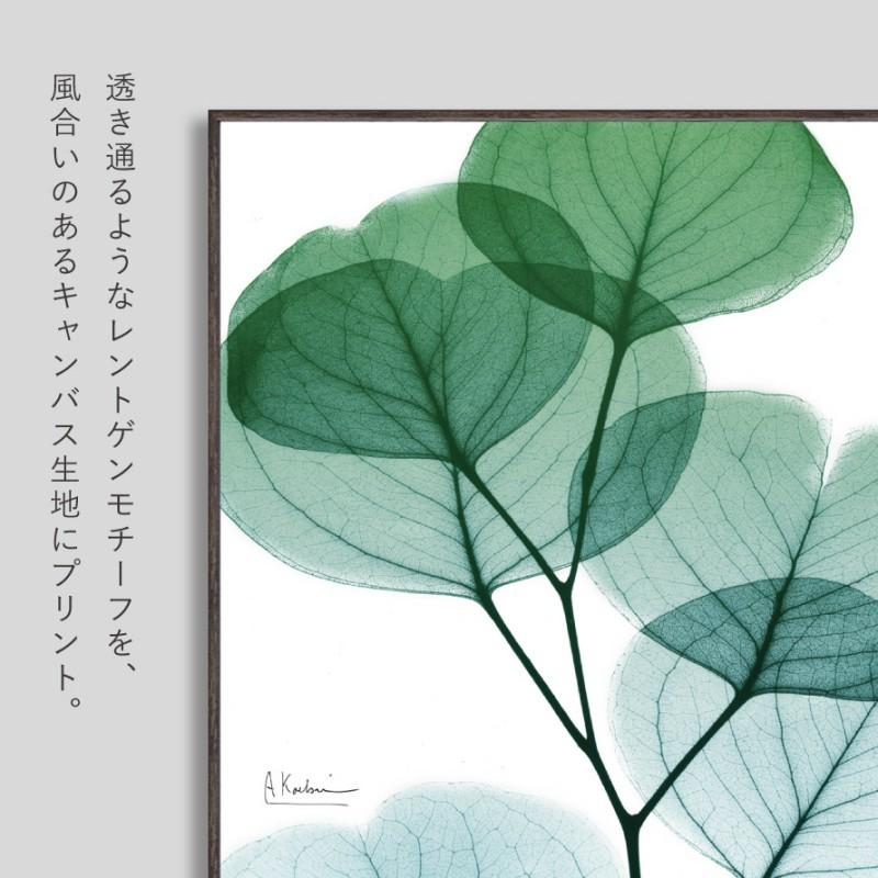 ボタニカル アートパネル 葉 植物 アート モダン 玄関 おしゃれ 絵