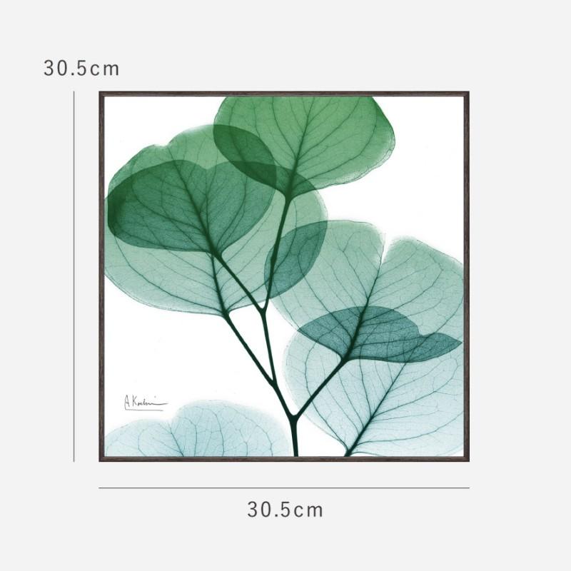ボタニカル アートパネル 葉 植物 アート モダン 玄関 おしゃれ 絵