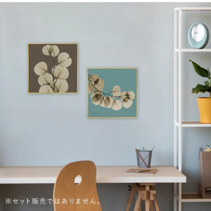 ボタニカル アートパネル 葉 植物 アート モダン 玄関 おしゃれ 絵