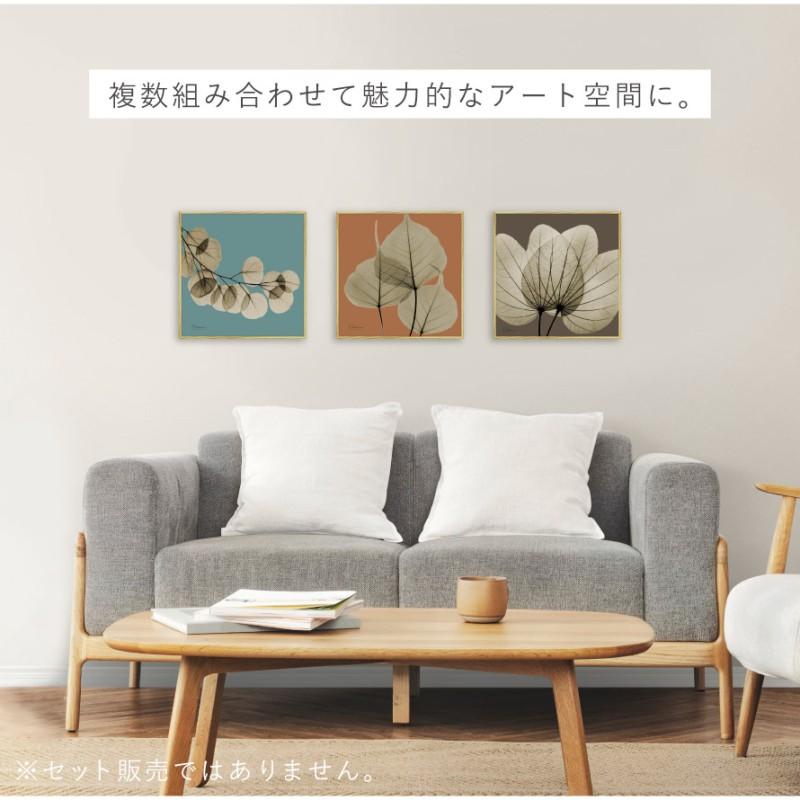 ボタニカル アートパネル 葉 植物 アート モダン 玄関 おしゃれ 絵