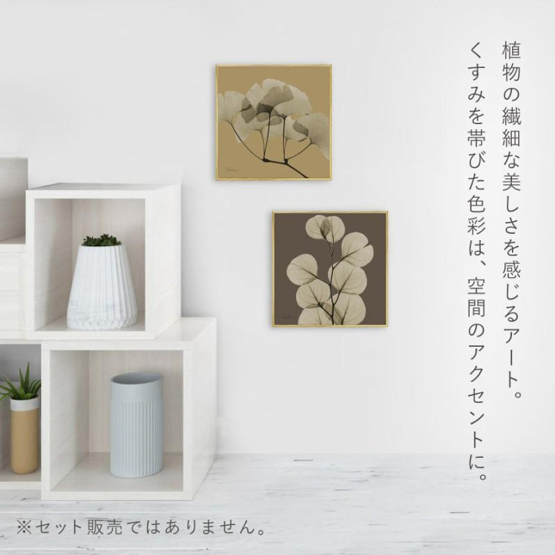 ボタニカル アートパネル 葉 植物 アート モダン 玄関 おしゃれ 絵