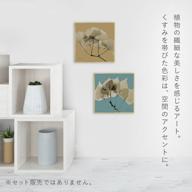 ボタニカル アートパネル 葉 植物 アート モダン 玄関 おしゃれ 絵