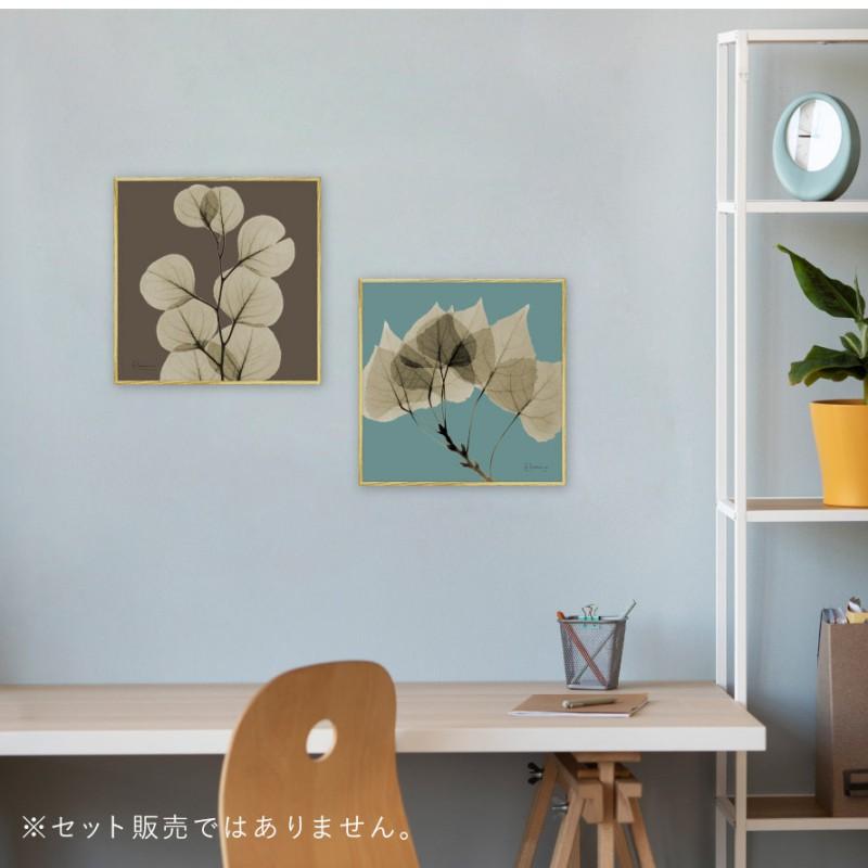 ボタニカル アートパネル 葉 植物 アート モダン 玄関 おしゃれ 絵