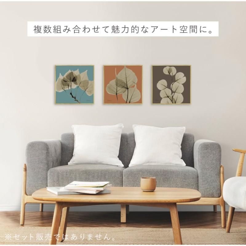 ボタニカル アートパネル 葉 植物 アート モダン 玄関 おしゃれ 絵