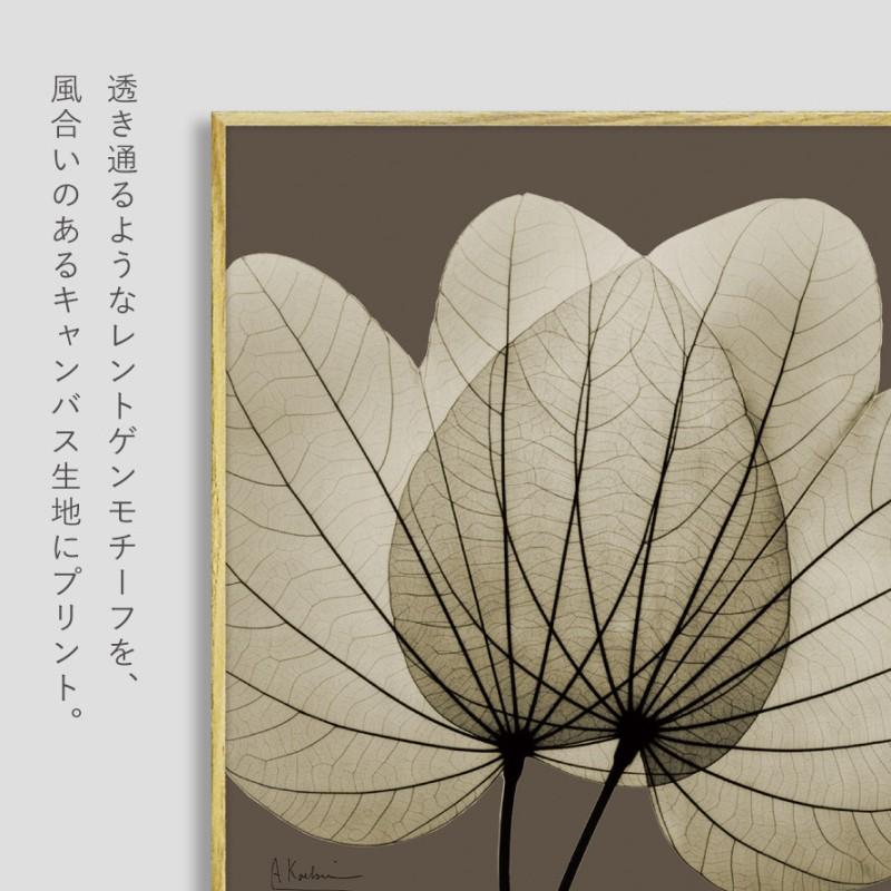ボタニカル アートパネル 葉 植物 アート モダン 玄関 おしゃれ 絵