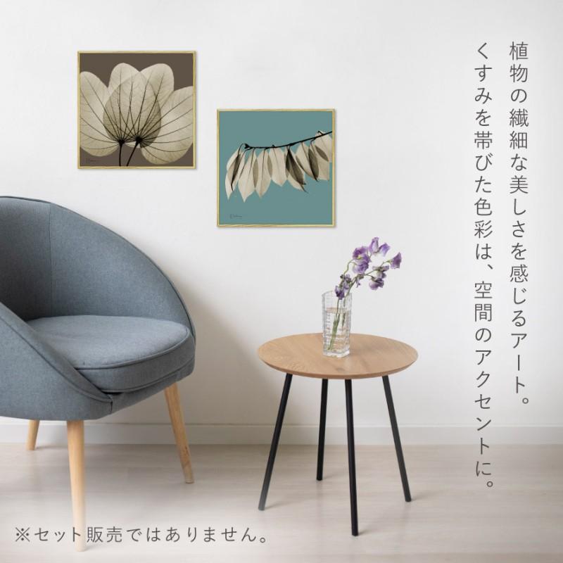 ボタニカル アートパネル 葉 植物 アート モダン 玄関 おしゃれ 絵
