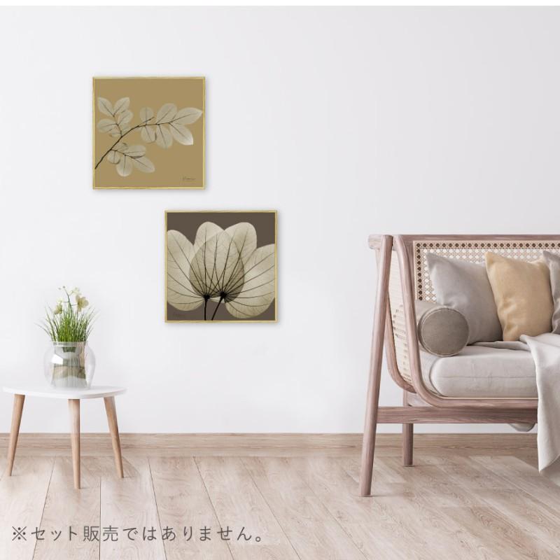 植物イラスト　ヴィンテージ　インテリアアート　額縁付き　壁掛け ボタニカル アートパネル 葉 植物 アート モダン 玄関 おしゃれ 絵