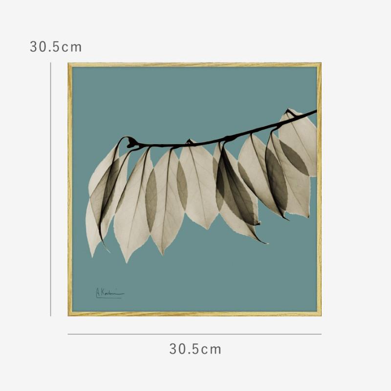 ボタニカル アートパネル 葉 植物 アート モダン 玄関 おしゃれ 絵