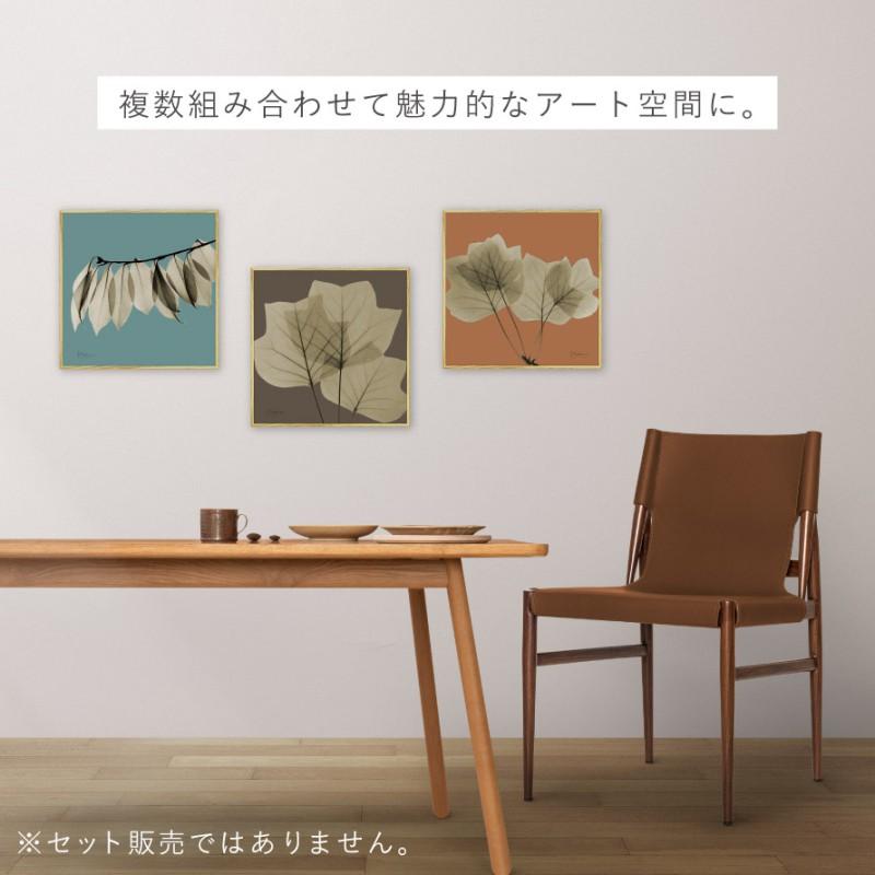 ボタニカル アートパネル 葉 植物 アート モダン 玄関 おしゃれ 絵