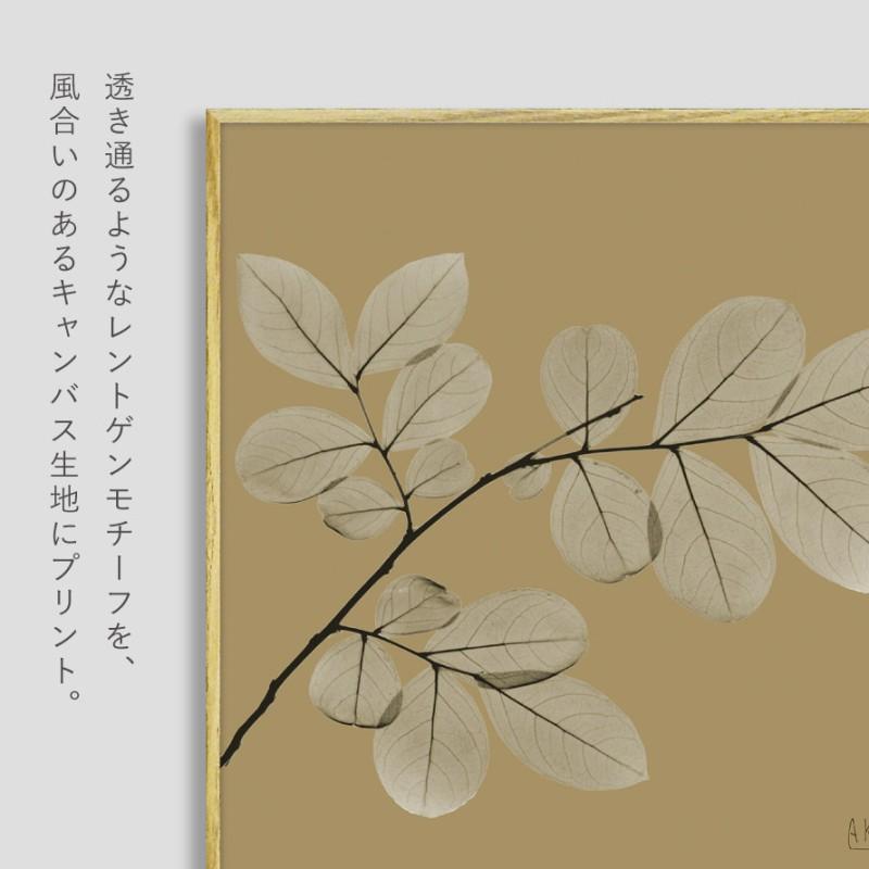 ボタニカル アートパネル 葉 植物 アート モダン 玄関 おしゃれ 絵