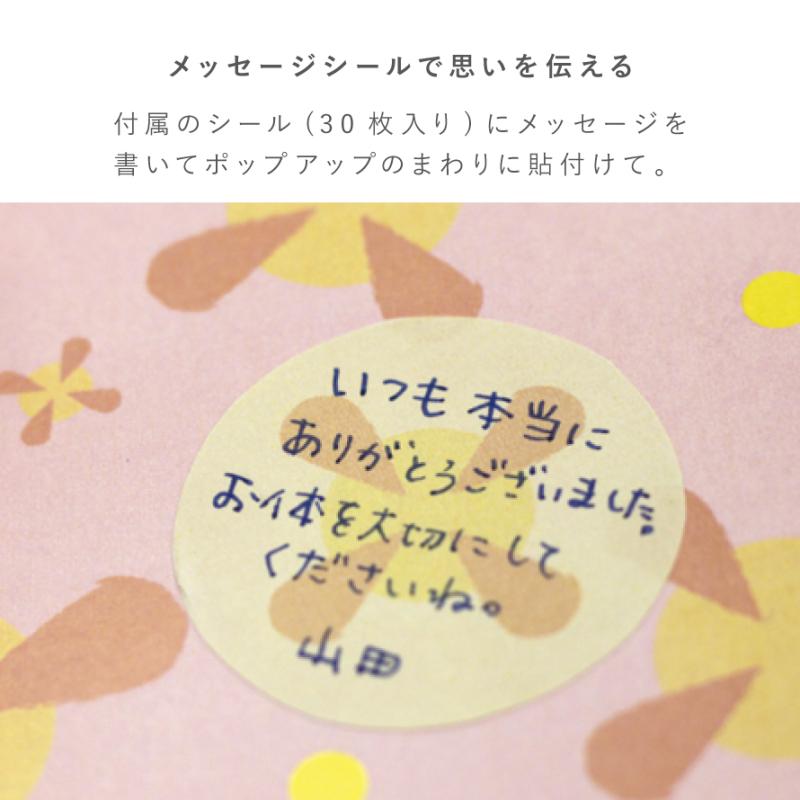 寄せ書き色紙 色紙 寄せ書き カード 大人数 メッセージカード 卒業 お別れ 退職 転勤 送別会 手紙 メッセージ ギフト プレゼント 誕生日 お祝い サプライズ イベ｜e-zakkaya｜07