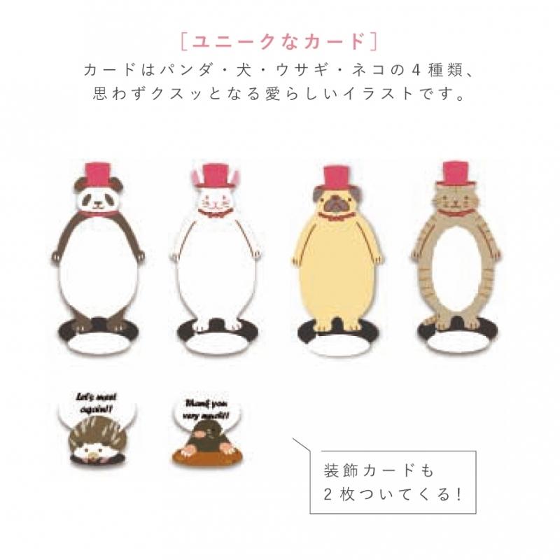 色紙 寄せ書き 二つ折り 見開き 大人数 かわいい アニマル メッセージ