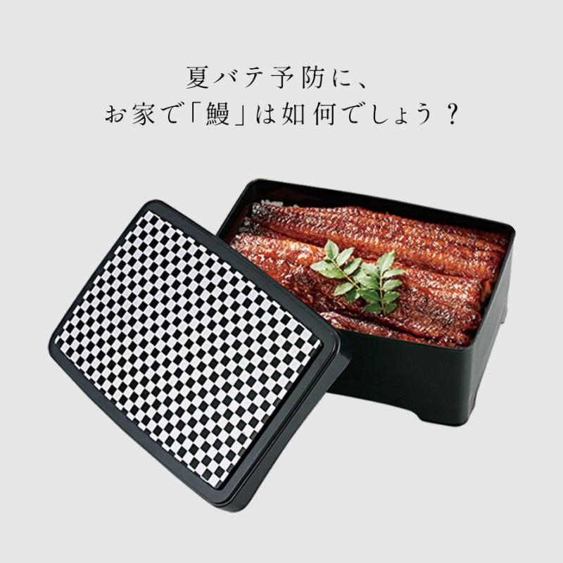 うな重 鰻重 重箱のみ 土用の丑の日 容器 器 箱 うな重箱 和食器 日本