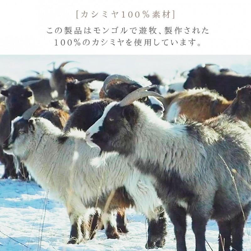 レギンス スパッツ クール インテンシティ 7/8丈レギンス