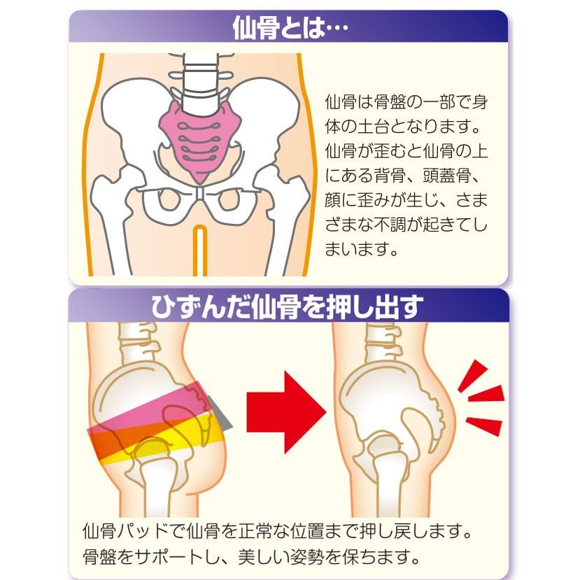 骨盤矯正 骨盤ベルト 産後 ダイエット 腰ベルト 腰痛 ベルト マジックテープ 仙骨 骨盤 腰 サポーター サポート 動きやすい 調節可能 メッシュ 滑り止め ムレな ココチのくらし雑貨店 通販 Yahoo ショッピング