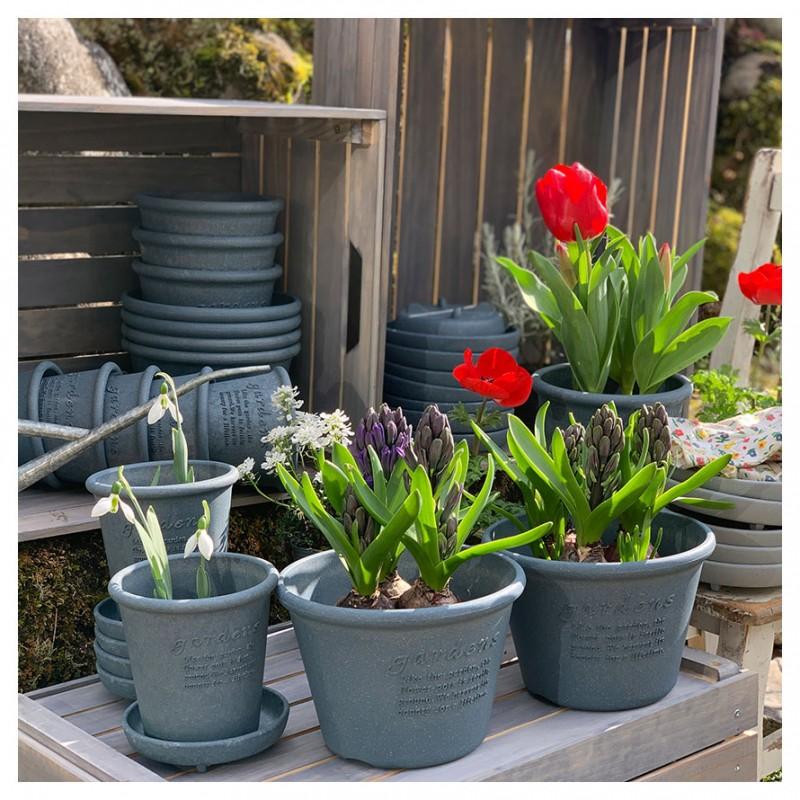 プランター 浅型 丸型 8号 アンティーク おしゃれ 屋外