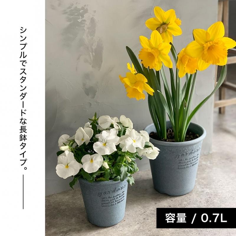 イタリア製プランター 丸型 Amazon.co.jp: イタリア製 プランター ペドロ φ60cm H31cm 20号