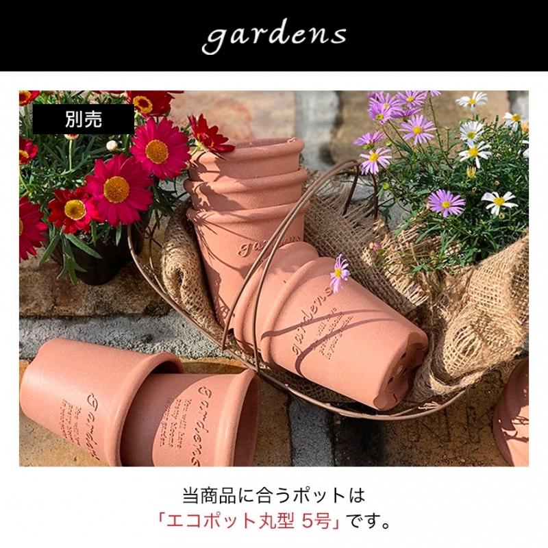 プランター 受け皿 受皿 丸型 5号 アンティーク おしゃれ 屋外