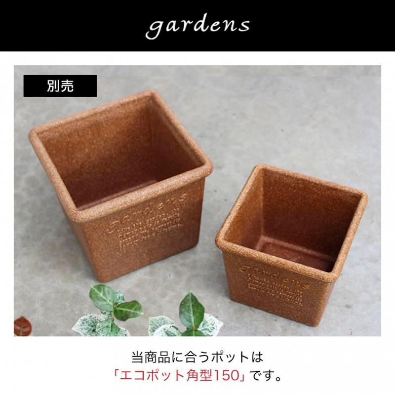 プランター 受け皿 受皿 正方形 15cm アンティーク おしゃれ