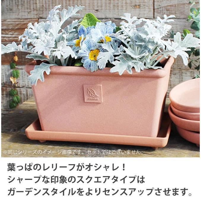 プランター おしゃれ 植木鉢 プラスチック 30cm 角型 野菜