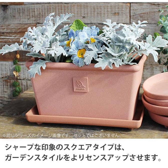 プランター 受け皿 受皿 長方形 横長 30cm アンティーク おしゃれ 屋外